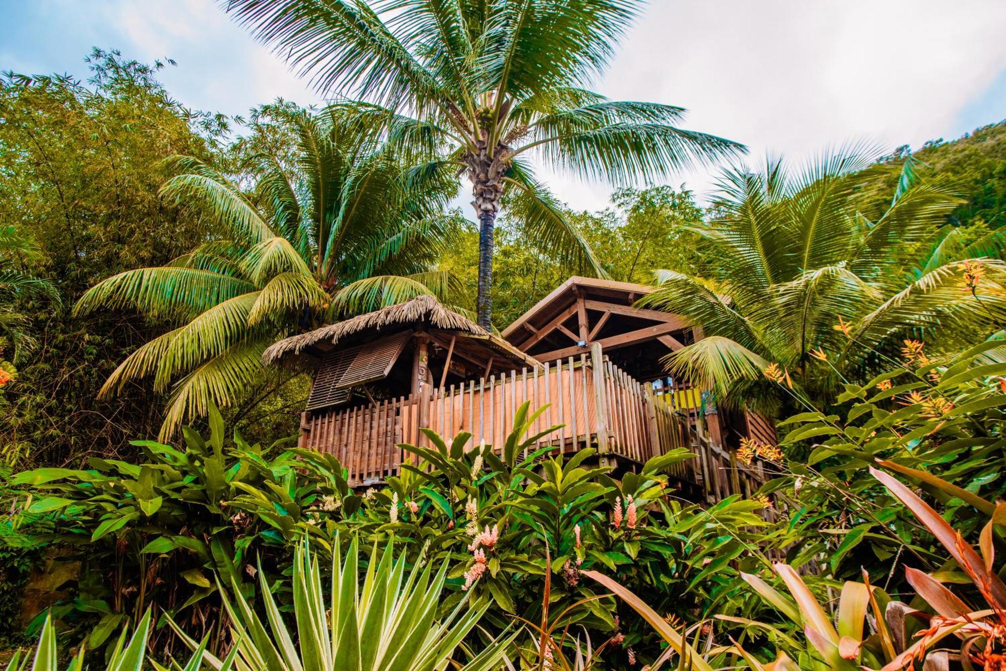 West Indies Cottage Πουάντ-Νουάρ Εξωτερικό φωτογραφία